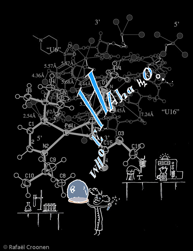 2011_II_08_Whoehaa2o