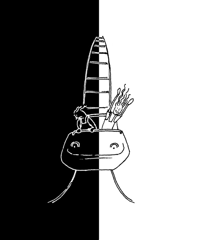 2012 II 03 01 twee kanten van het verhaal