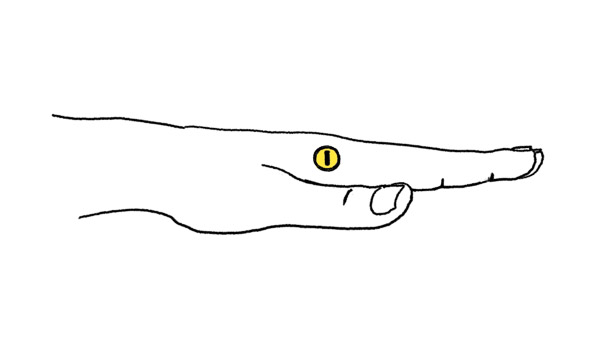 2012 III 06 hand_003